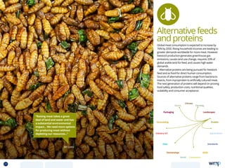 Global meat consumption is expected to increase by
76% by 2050. Rising household incomes are leading to
greater demands worldwide for more meat. However
livestock production generates greenhouse gas
emissions, causes land use change, requires 33% of
global arable land for feed, and causes high water
demands.
Alternative proteins are being pursued for livestock
feed and as food for direct human consumption.
Sources of alternative proteins range from bacteria to
insects, from mycoprotein to artificially cultured meat.
The next generation of proteins will depend on proving
food safety, production costs, nutritional qualities,
scalability and consumer acceptance.
Bill Gates
“Raising meat takes a great
deal of land and water and has
a substantial environmental
impact... We need more options
for producing meat without
depleting our resources...”
Alternativefeeds
andproteins
Data
Aquaculture
Protein
Farming
Climate
Partnerships
Consumers
Packaging
Retail
Forecasting
Landscapes
Skills
Industry 4.0
Waste
Standards
21 TOPICSMENU CONCLUSIONSCONTENTS
 