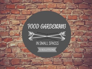 Food Gardening in Small Spaces 