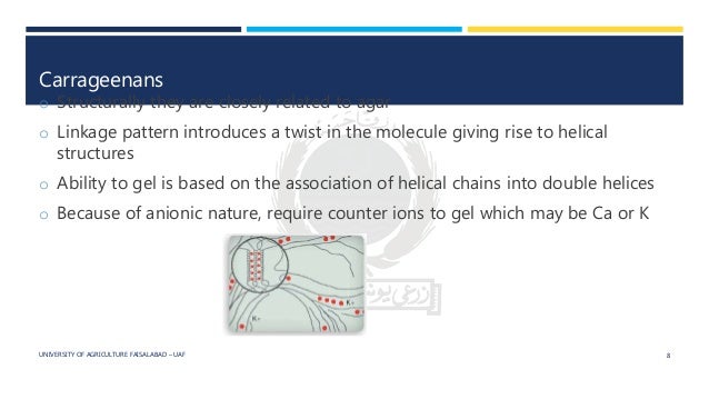 replacing gelatin with iota carrageenan replacing gelatin with iota carrageenan