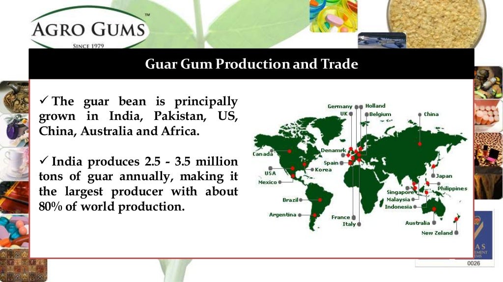 Food Grade Guar Gum Powder & Industrial Application