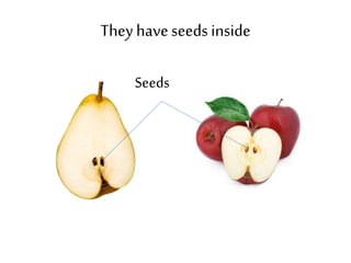 They have seeds inside 
Seeds 
 