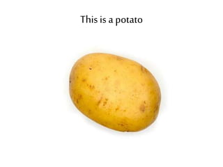 This is a potato 
 