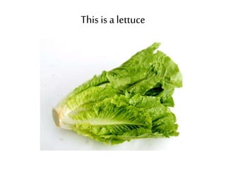 This is a lettuce 
 