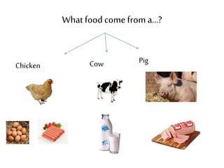 What food come from a…? 
Chicken 
Cow Pig 
 