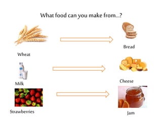 Wheat 
What food can you make from…? 
Bread 
Cheese 
Milk 
Strawberries Jam 
 