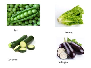 Aubergine 
Peas 
Lettuce 
Courgette 
 