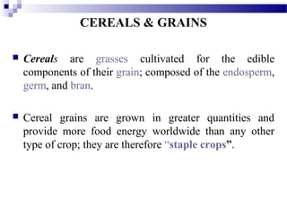 CEREALS & GRAINS
 Cereals are grasses cultivated for the edible
components of their grain; composed of the endosperm,
germ, and bran.
 Cereal grains are grown in greater quantities and
provide more food energy worldwide than any other
type of crop; they are therefore “staple crops”.
 