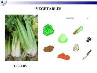 CELERY
VEGETABLES
 