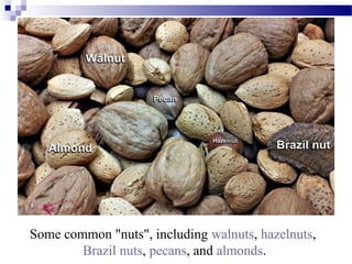 Some common "nuts", including walnuts, hazelnuts,
Brazil nuts, pecans, and almonds.
 