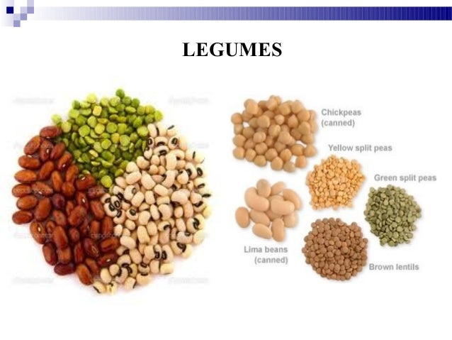 What Are The Six Basic Food Groups What Are The Six Basic Food Groups