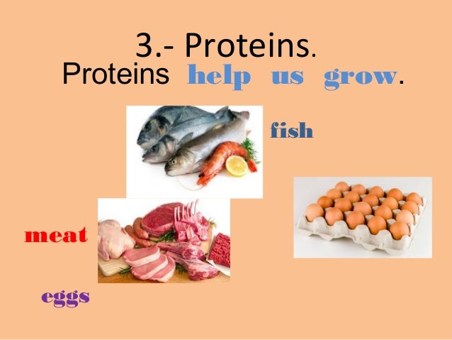 Proteins Help Us Grow Fish Meat Eggs 6 Proteins Help Us Grow Fish Meat Eggs 6