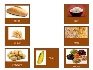CORN
RICE
WHEAT
BREAD
POTATOES
PASTA
PULSES