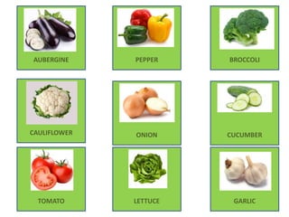 CUCUMBER
AUBERGINE PEPPER
CAULIFLOWER
BROCCOLI
ONION
TOMATO LETTUCE GARLIC
 