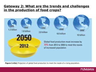 Gateway 2: What are the trends and challenges
in the production of food crops?
Figure 2.43a) Projection of global food production to meet the needs of a rising population.
 