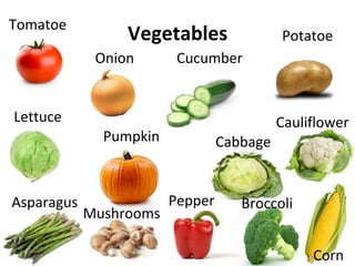 VegetablesTomatoe
Onion Cucumber
Potatoe
Lettuce
Pumpkin Cabbage
Cauliflower
Asparagus
Mushrooms
Pepper Broccoli
Corn
 