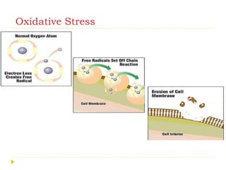Oxidative Stress
 