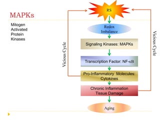 MAPKs
Mitogen
Activated
Protein
Kinases
RS
Redox
Imbalance
Aging
Signaling Kinases: MAPKs
Transcription Factor: NF-κB
Pro-Inflammatory Molecules:
Cytokines
Chronic Inflammation
Tissue Damage
ViciousCycle
ViciousCycle
 