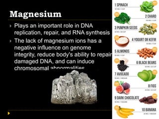 Magnesium
 Plays an important role in DNA
replication, repair, and RNA synthesis
 The lack of magnesium ions has a
negative influence on genome
integrity, reduce body's ability to repair
damaged DNA, and can induce
chromosomal abnormalities.
 