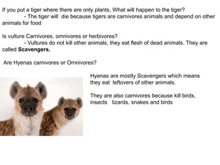 Food habits of animals | PPT