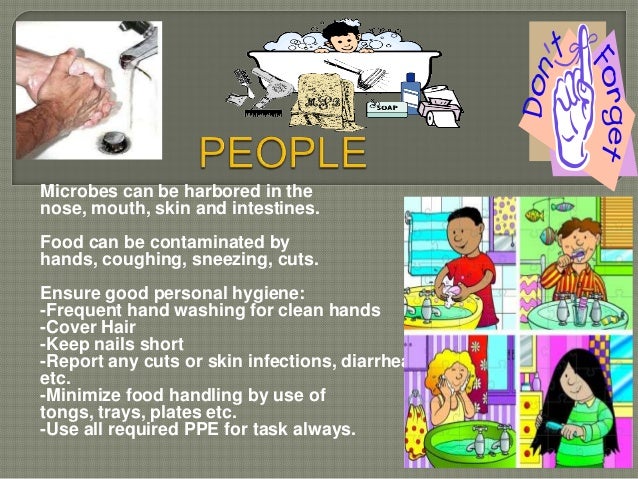 When Can Food Handlers Contaminate Food When Can Food Handlers Contaminate Food