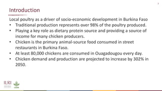 Knowledge, attitude and practice of food handlers towards chicken hygiene and food safety in chicken restaurants in Ouagadougou, Burkina Faso