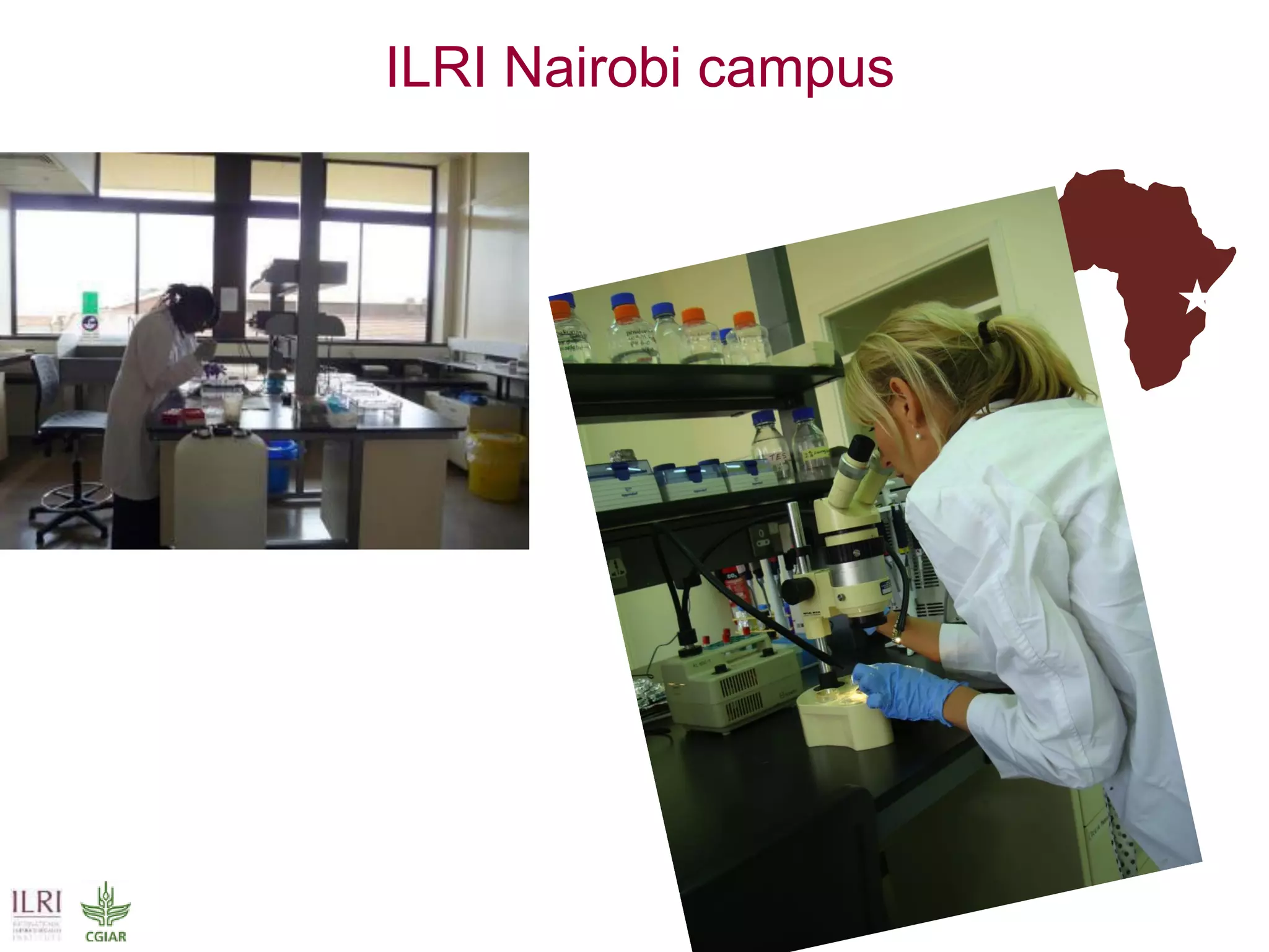 ILRI Nairobi campus
IITA CIP CIMMYT IRRI CIFOR
★
 