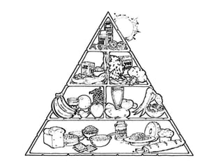 Food hierarchy