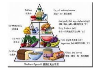Food hierarchy