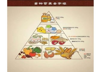 Food hierarchy