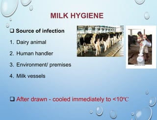 MILK HYGIENE
 Source of infection
1. Dairy animal
2. Human handler
3. Environment/ premises
4. Milk vessels
 After drawn...