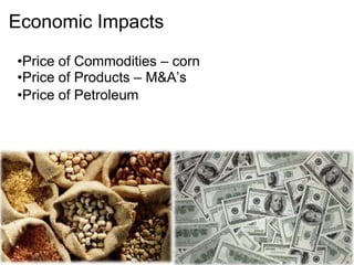 Economic Impacts
•Price of Commodities – corn
•Price of Products – M&A’s
•Price of Petroleum
 