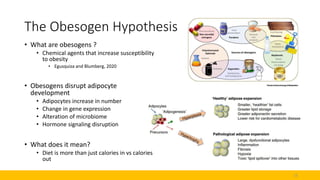 The Obesogen Hypothesis
• What are obesogens ?
• Chemical agents that increase susceptibility
to obesity
• Egusquiza and B...