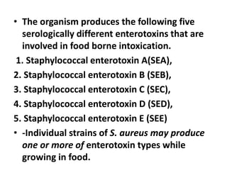 • The organism produces the following five
serologically different enterotoxins that are
involved in food borne intoxication.
1. Staphylococcal enterotoxin A(SEA),
2. Staphylococcal enterotoxin B (SEB),
3. Staphylococcal enterotoxin C (SEC),
4. Staphylococcal enterotoxin D (SED),
5. Staphylococcal enterotoxin E (SEE)
• -Individual strains of S. aureus may produce
one or more of enterotoxin types while
growing in food.
 