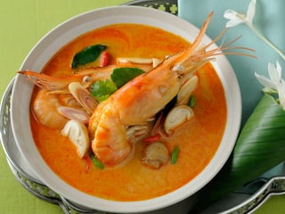 Food Concept Introduction