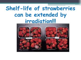 Shelf-life of strawberries
can be extended by
irradiation!!!
 