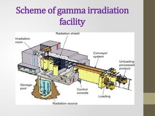 Irradiation Routine Process Comprehensive Overview of Food Irradiation: Safety, Process, and ...