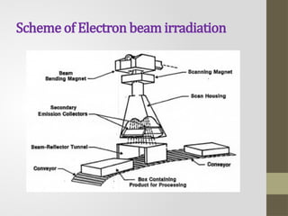 Irradiation Routine Process Comprehensive Overview of Food Irradiation: Safety, Process, and ...