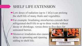SHELF LIFE EXTENSION
Low doses of radiation (up to 1 kGy) can prolong
the shelf-life of many fruits and vegetables.
For example: Irradiating strawberries extends their
refrigerated shelf-life to up to three weeks without
decay or shrinkage, versus three to five days for
untreated berries.
Moreover irradiation also causes
delay in sprouting and ripening
adding to shelf-life.

 