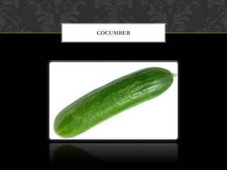 COCUMBER
 