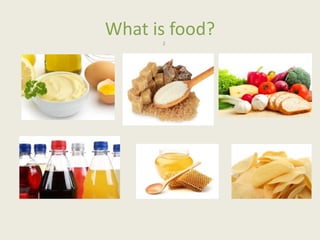 What is food?
2
 
