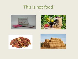This is not food!
4
 