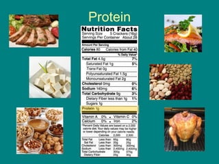 Protein