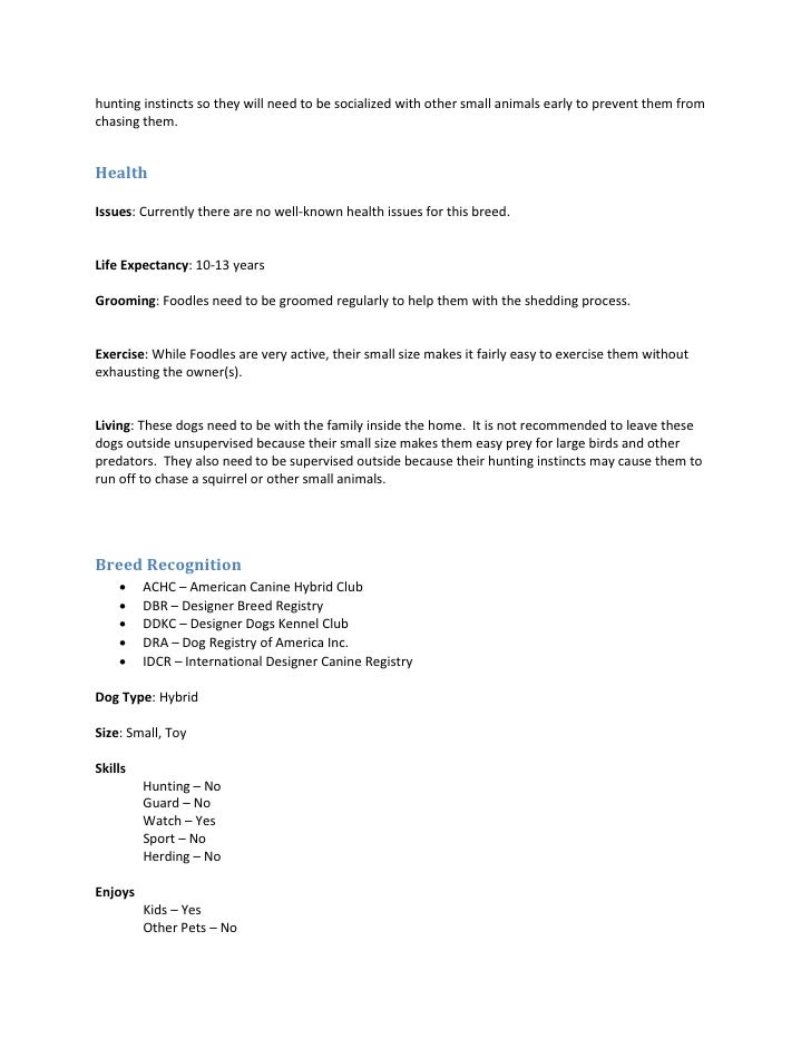 designer dog breed registry