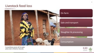 How does animal welfare and health impact food loss?
