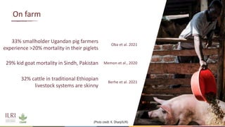 How does animal welfare and health impact food loss?