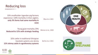 How does animal welfare and health impact food loss?