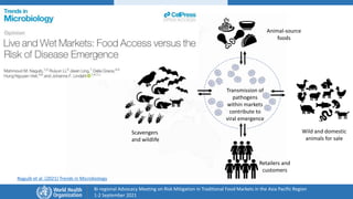 Overview of traditional food markets in Asia Pacific
