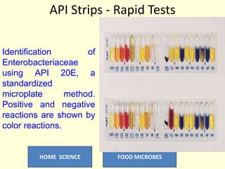 Food microbes | PPTX