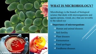 WHAT IS MICROBIOLOGY?
Microbiology is the branch of biological
science that deals with microorganisms and
agents (prions, viroid, etc.) that are invisible
to the naked eye
 Importance of microorganisms
 Human and animal diseases
 Soil fertility
 Plant diseases
 Fermentation
 Food spoilages
 Foodborne diseases
© 2020 Dr. Muneeb Khan
 