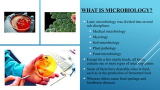 WHAT IS MICROBIOLOGY?
 Later, microbiology was divided into several
sub-disciplines:
 Medical microbiology
 Mycology
 Soil microbiology
 Plant pathology
 Food microbiology
 Except for a few sterile foods, all foods
contain one or more types of microorganisms
 Some of them have desirable roles in food,
such as in the production of fermented food
 Whereas others cause food spoilage and
foodborne diseases
 